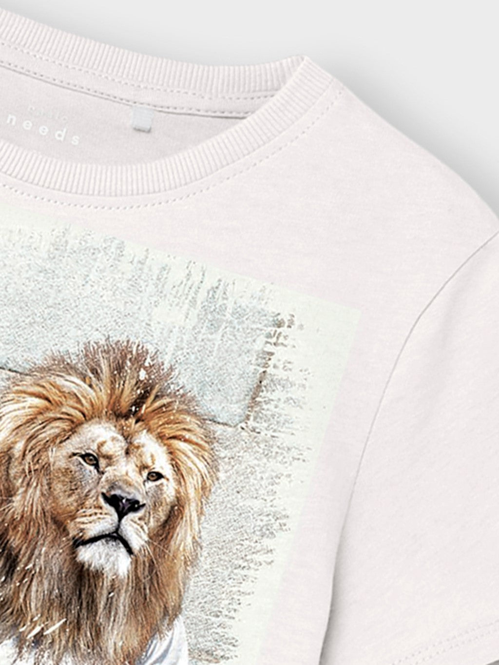 Camiseta León