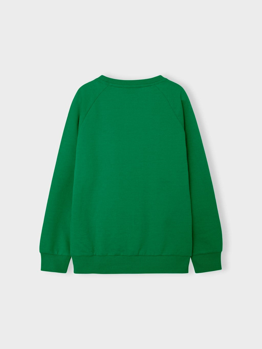 Sudadera Niño Verde