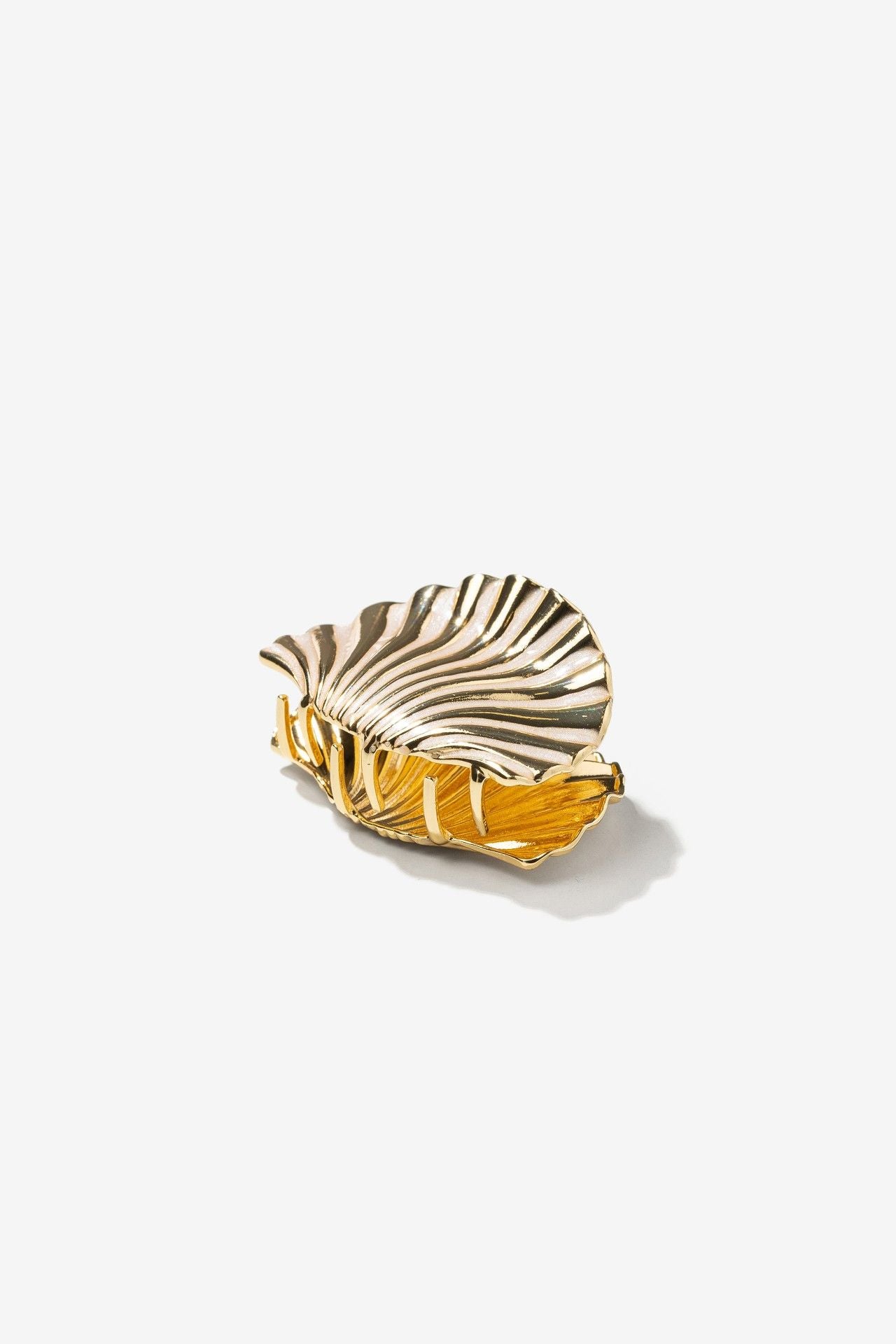 Pinza Concha Dorada