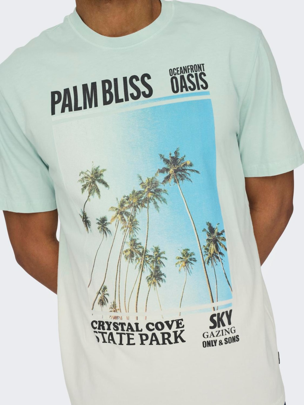 Camiseta Palm Bliss