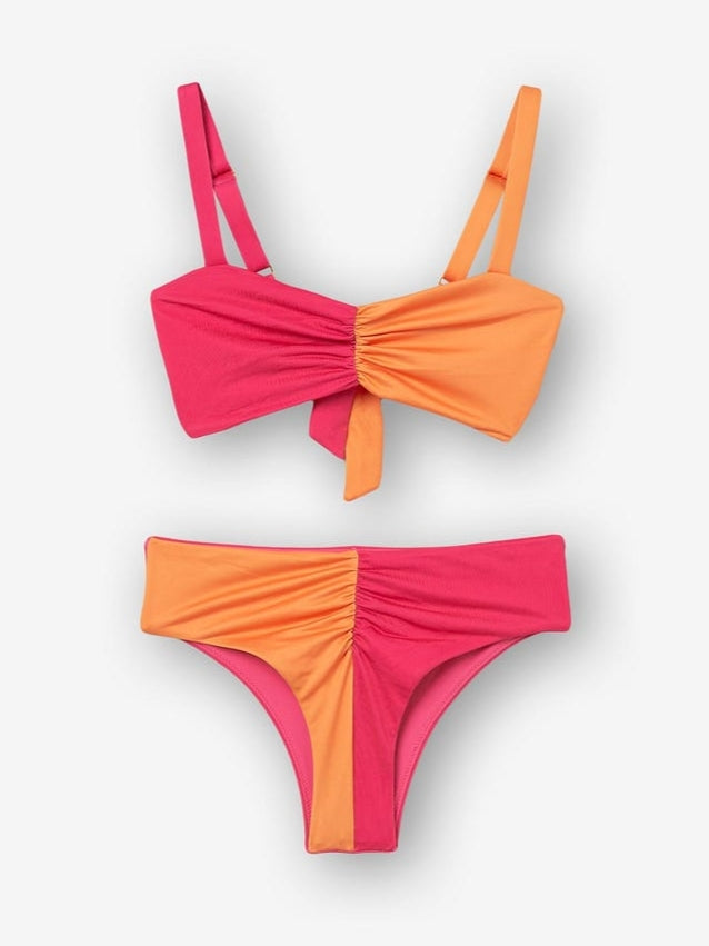 Bikini Bicolor Pitaya