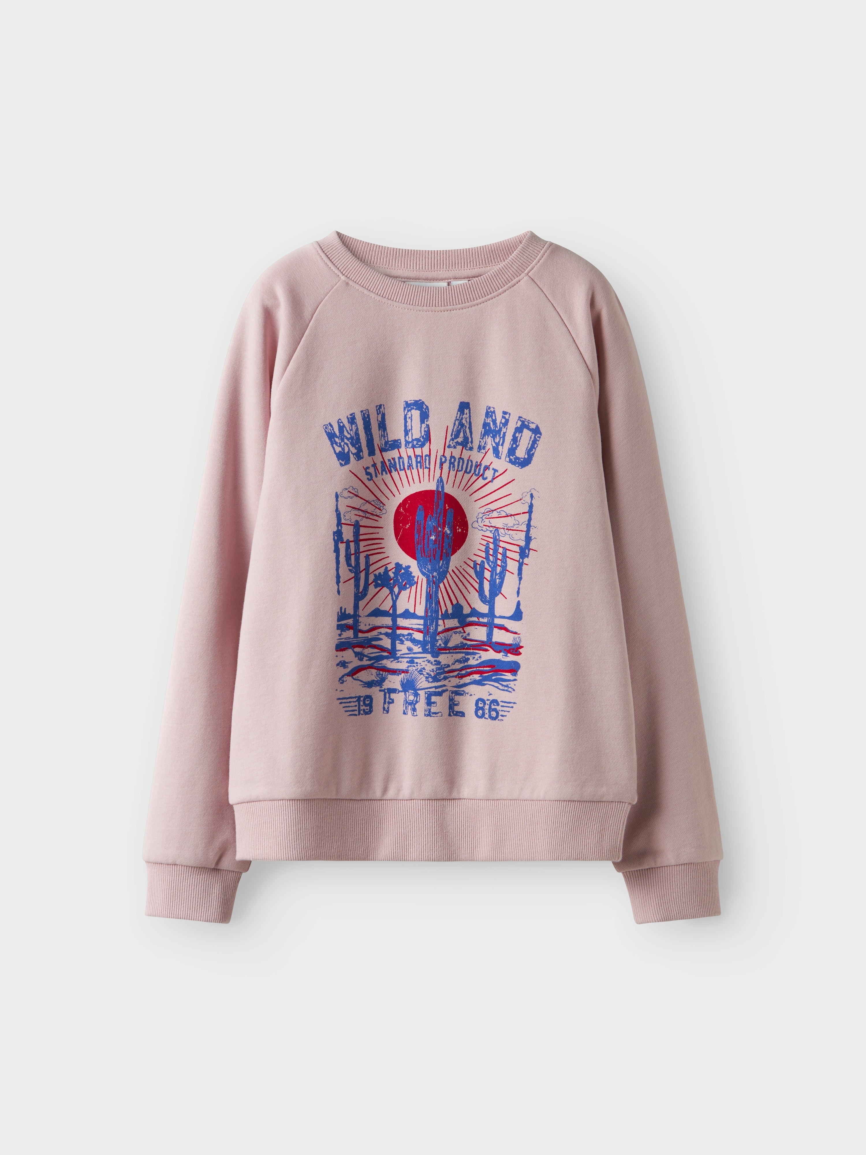 Sudadera Cactus Lila Kid
