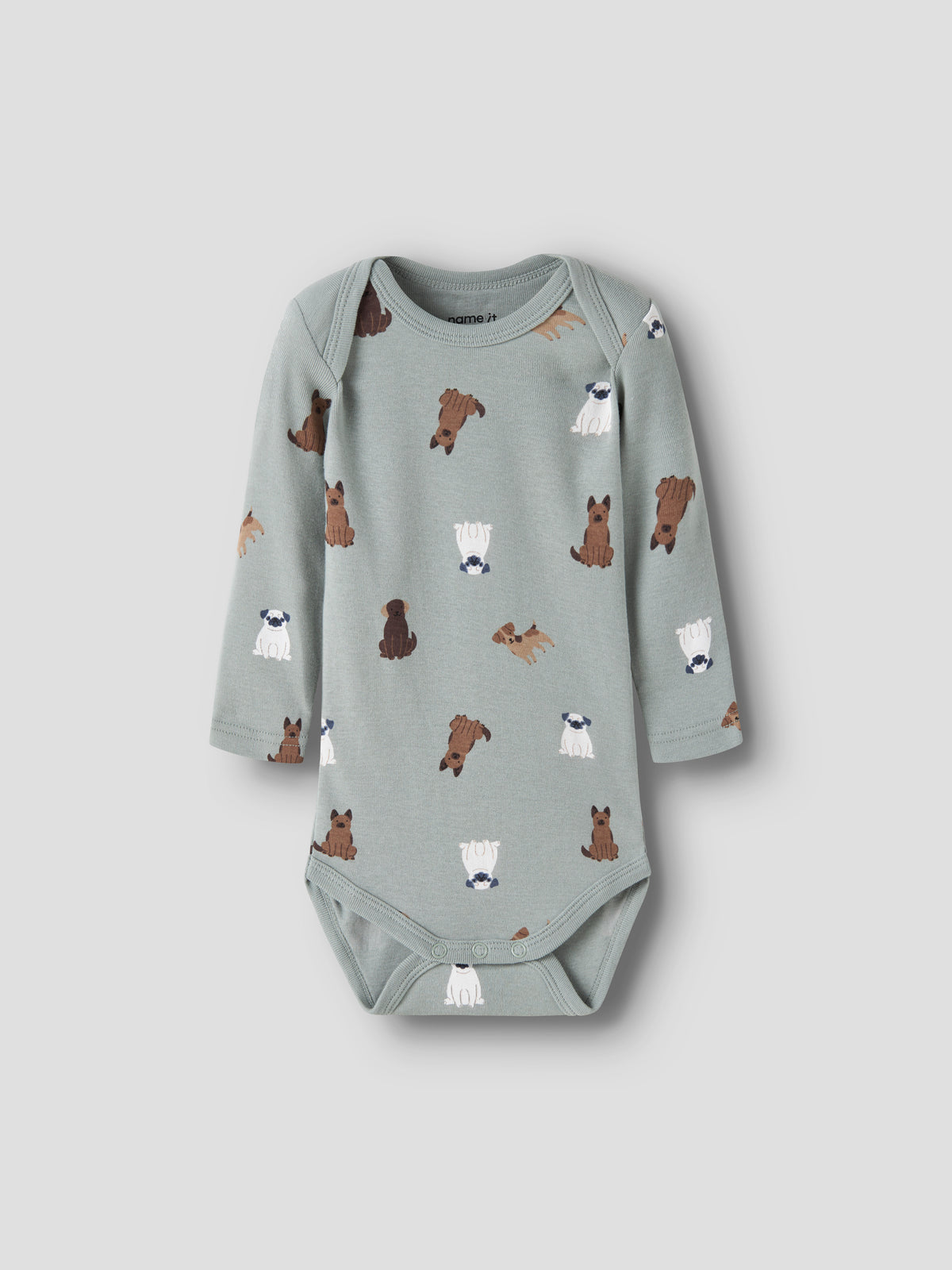 Pack3 Bodies Perrito