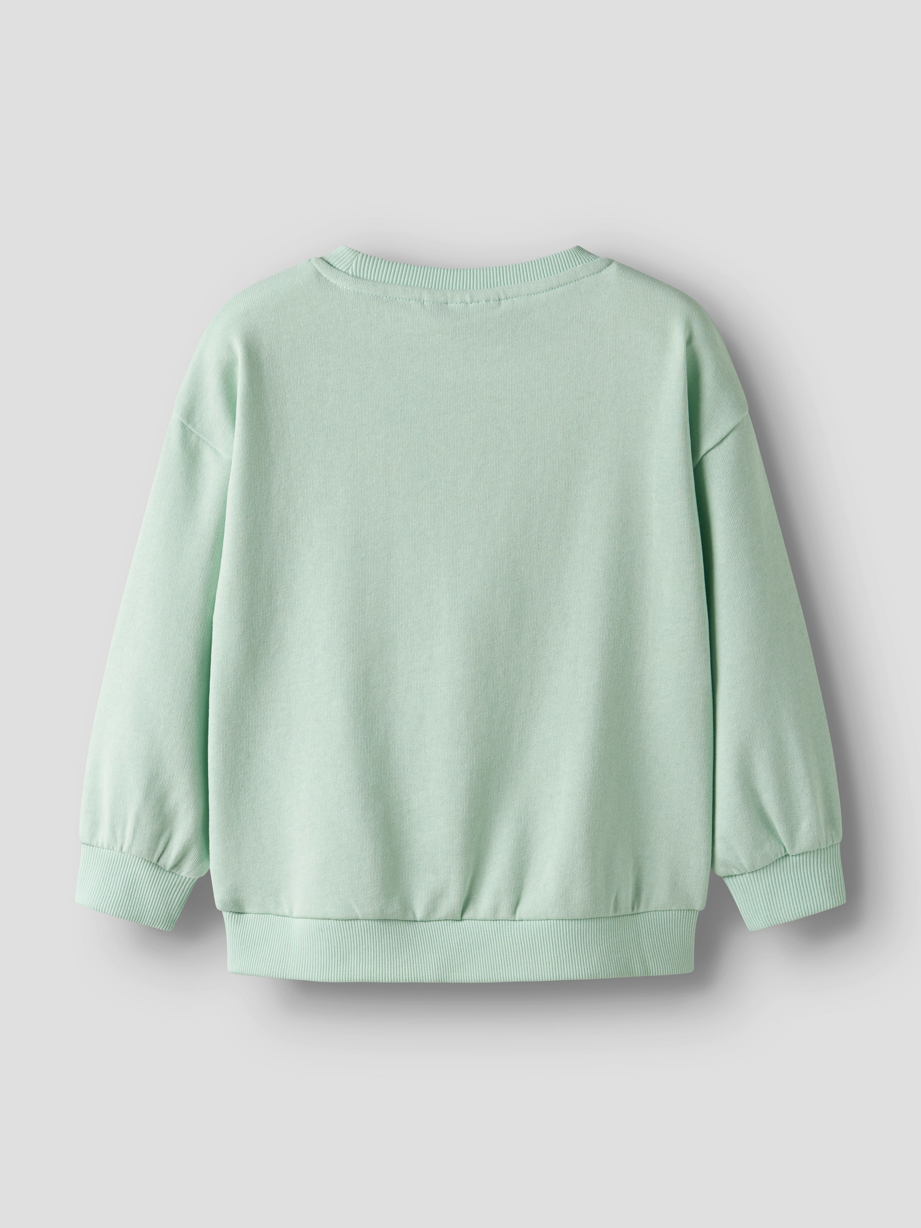 Sudadera Erizo Verde Agua Mini
