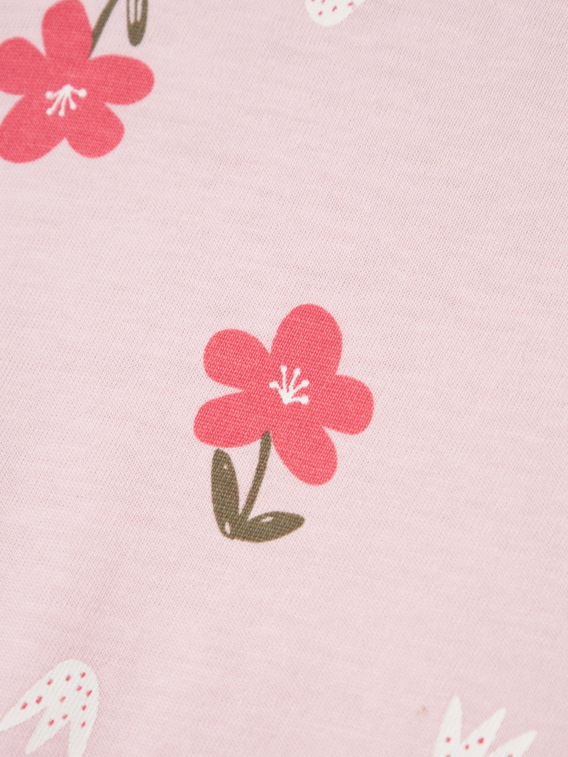 Mono Rosa Flores