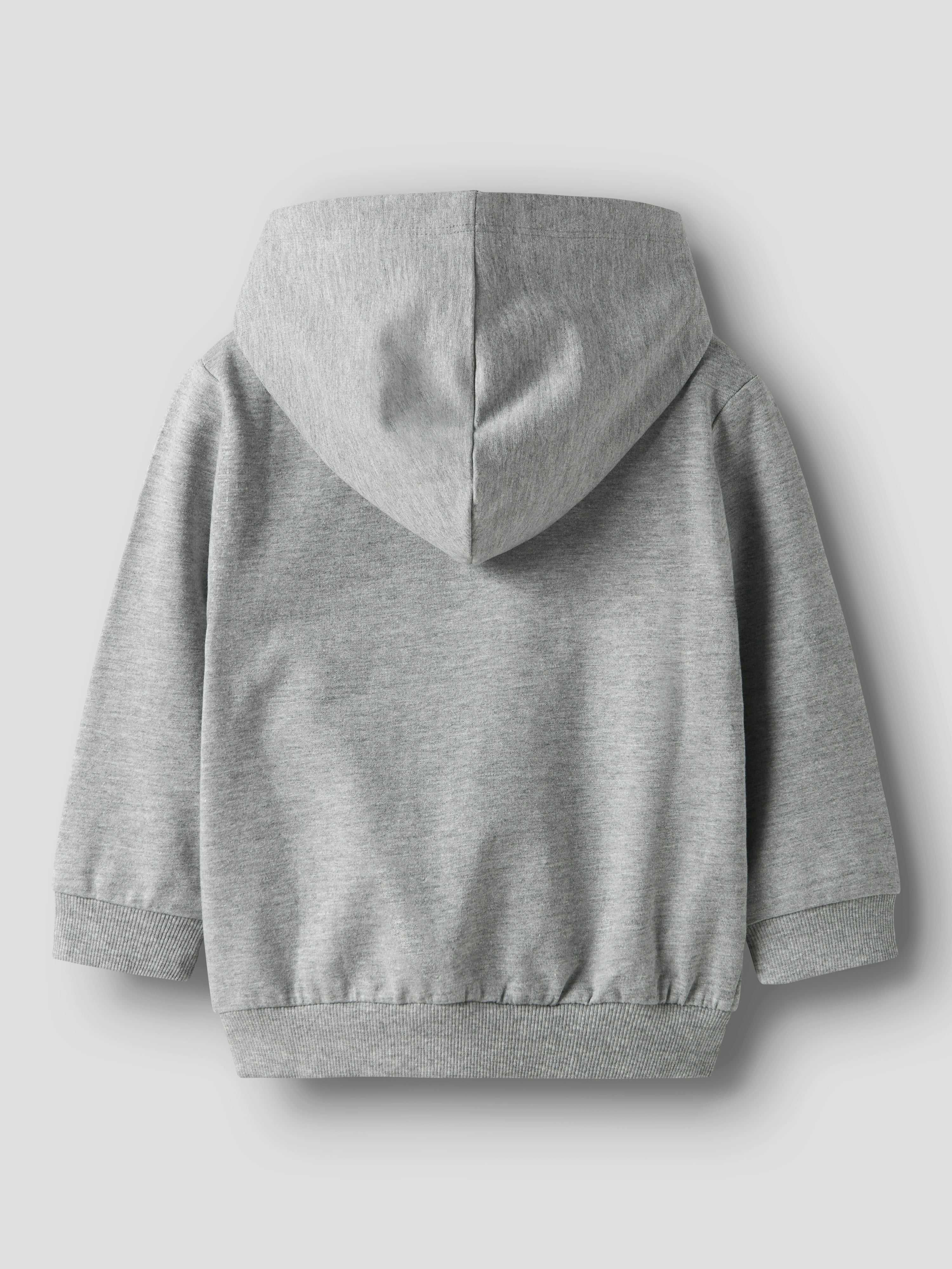 Sudadera Capucha Dino Gris