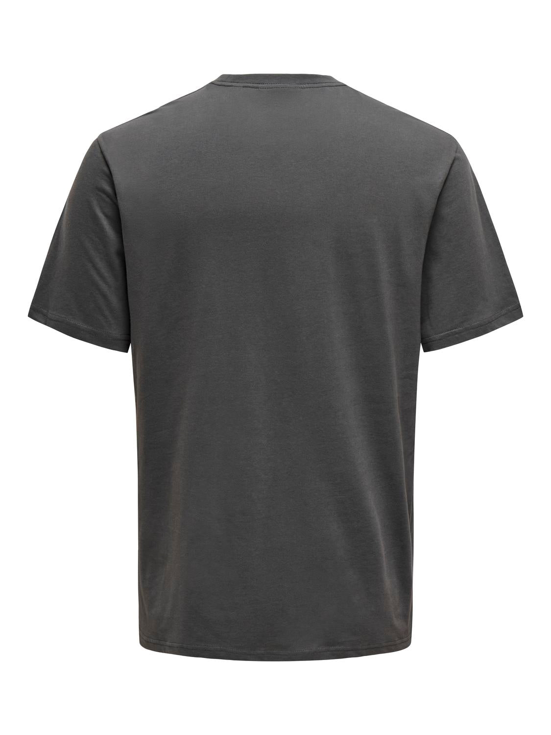 Camiseta Abe Gris