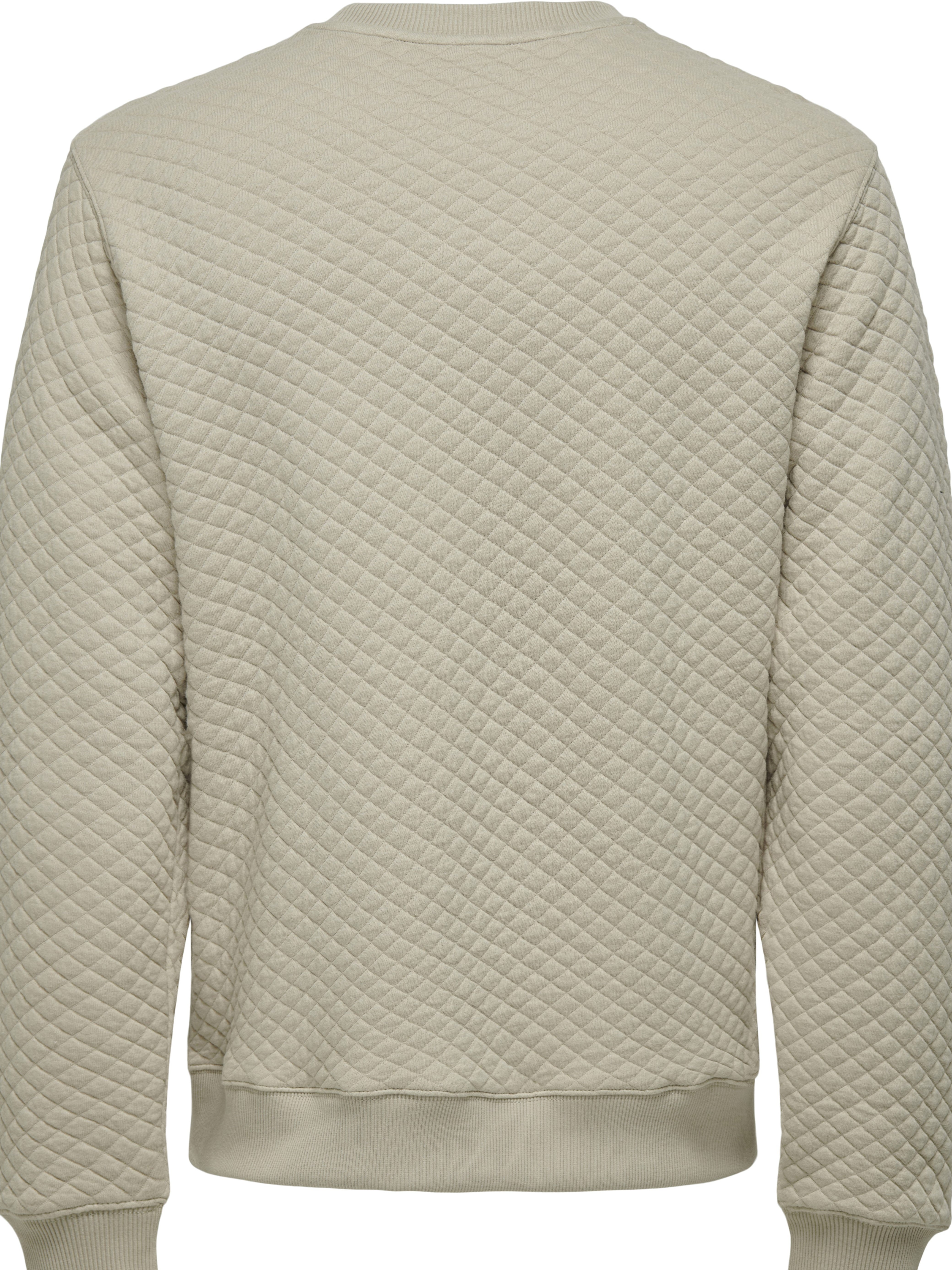 Sudadera Alder Silver Lining