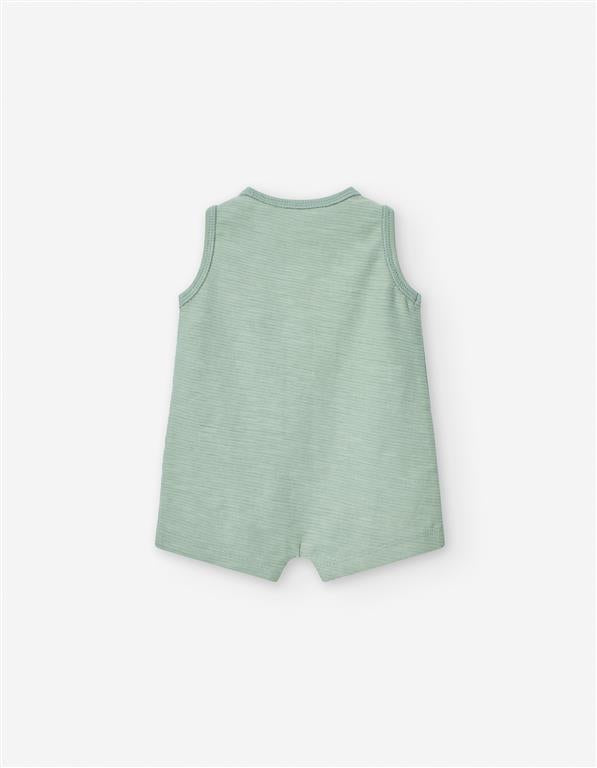 Ranita Sunrise Verde