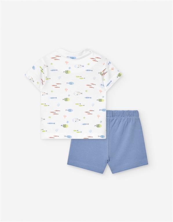 Conjunto Peces