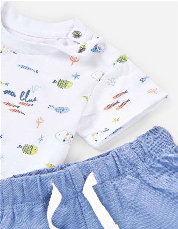 Conjunto Peces