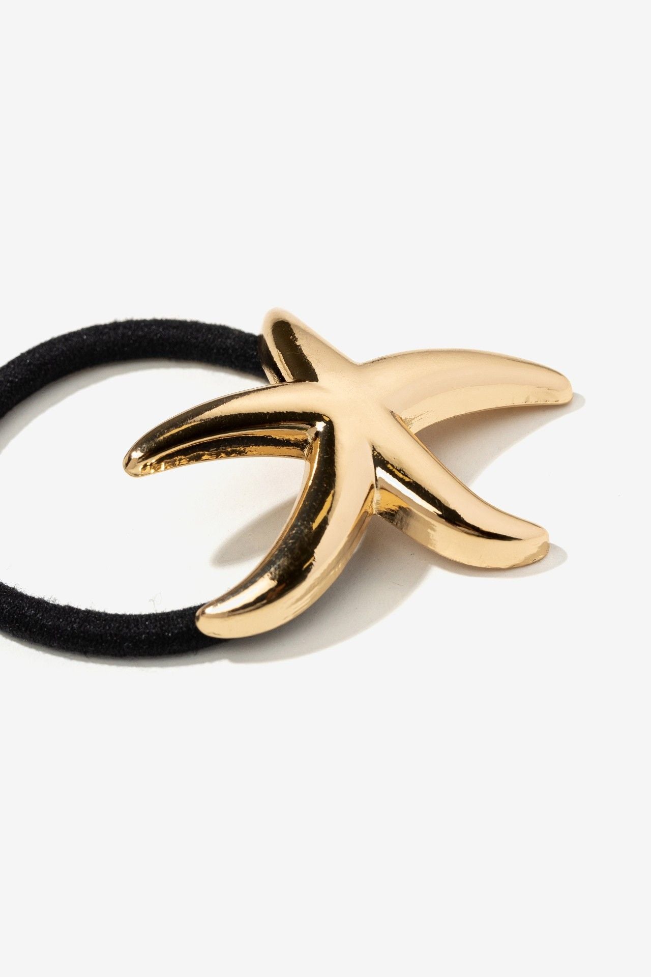 Coletero Estrella de Mar