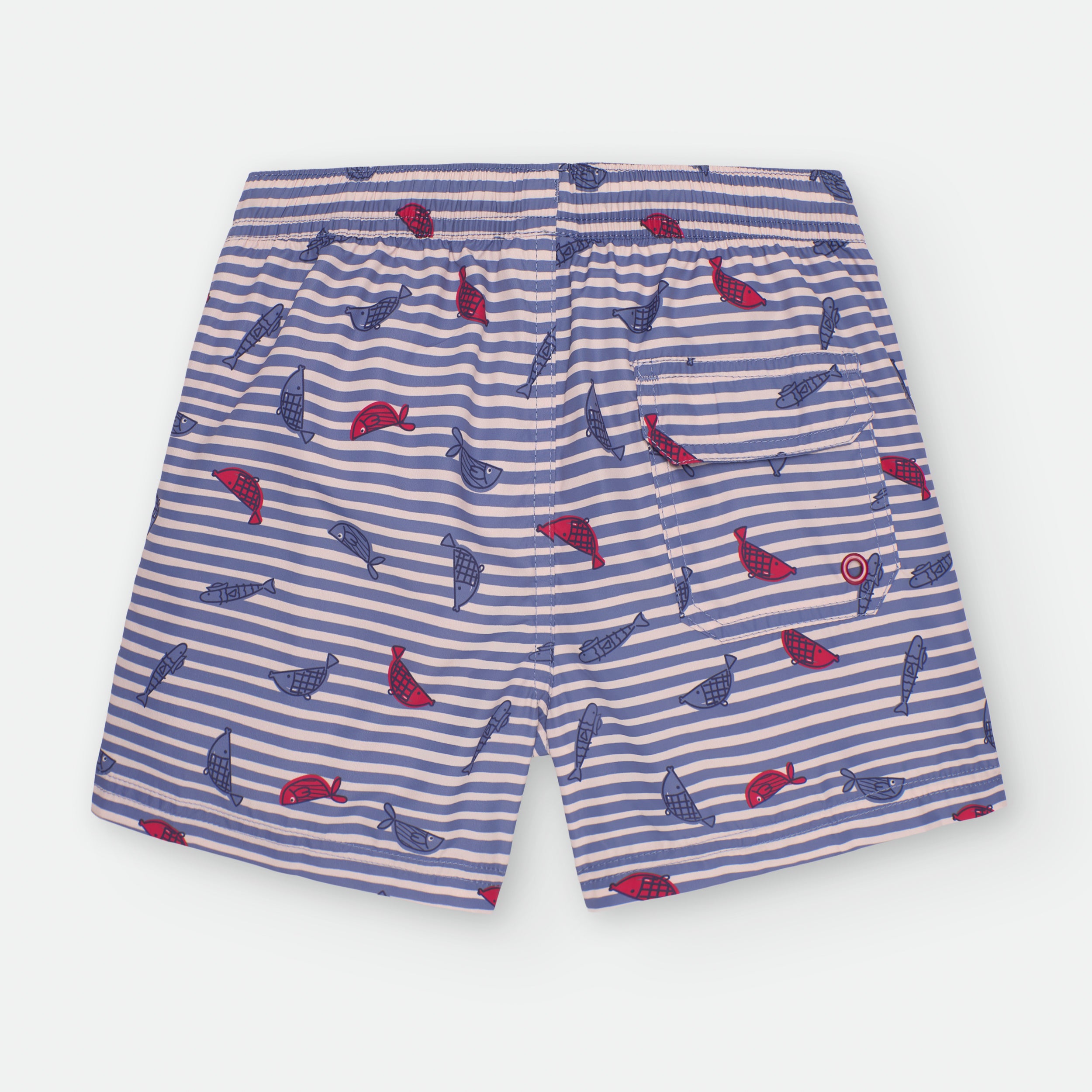 Bañador Rayas Peces