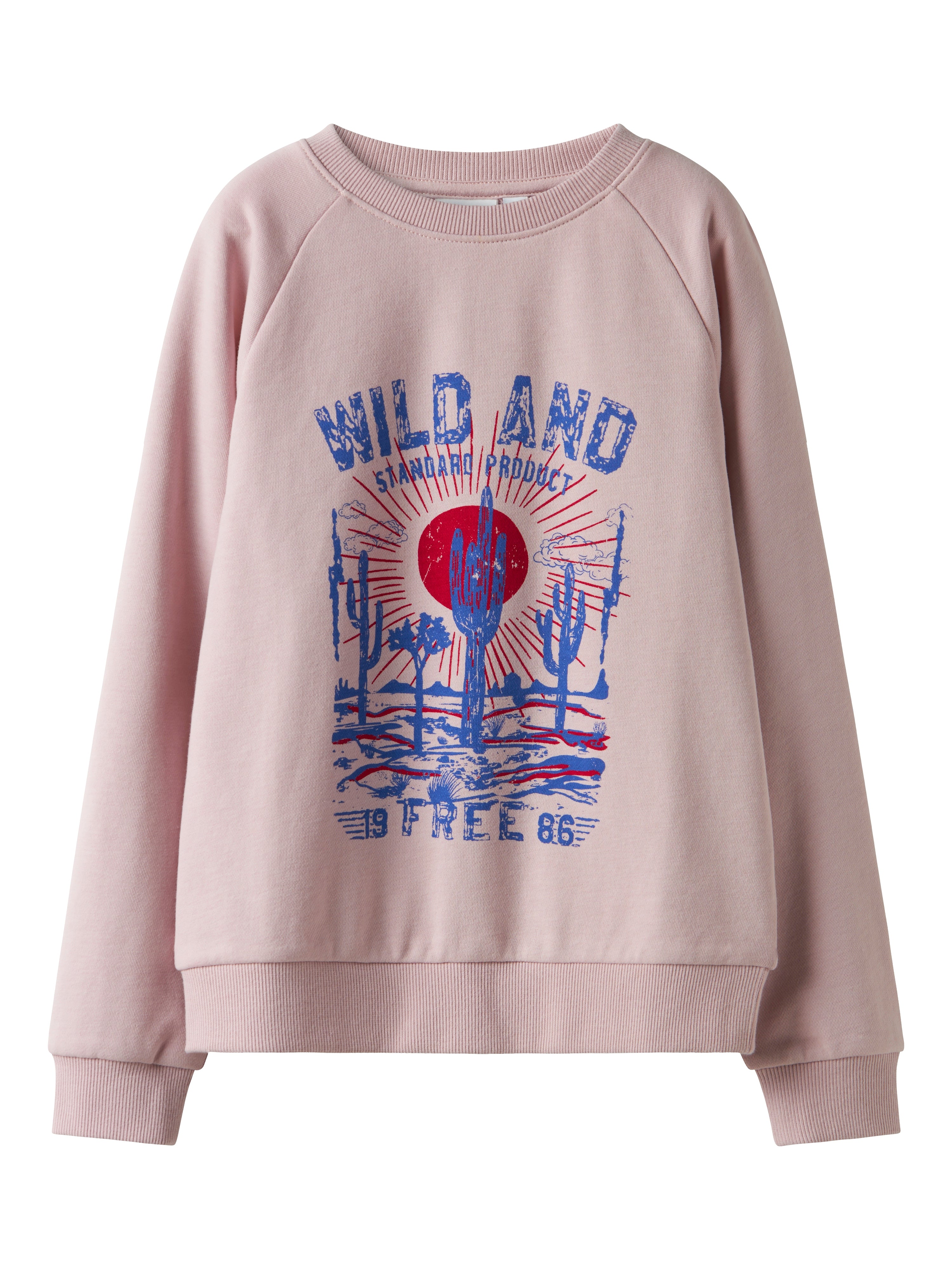 Sudadera Cactus Lila Kid