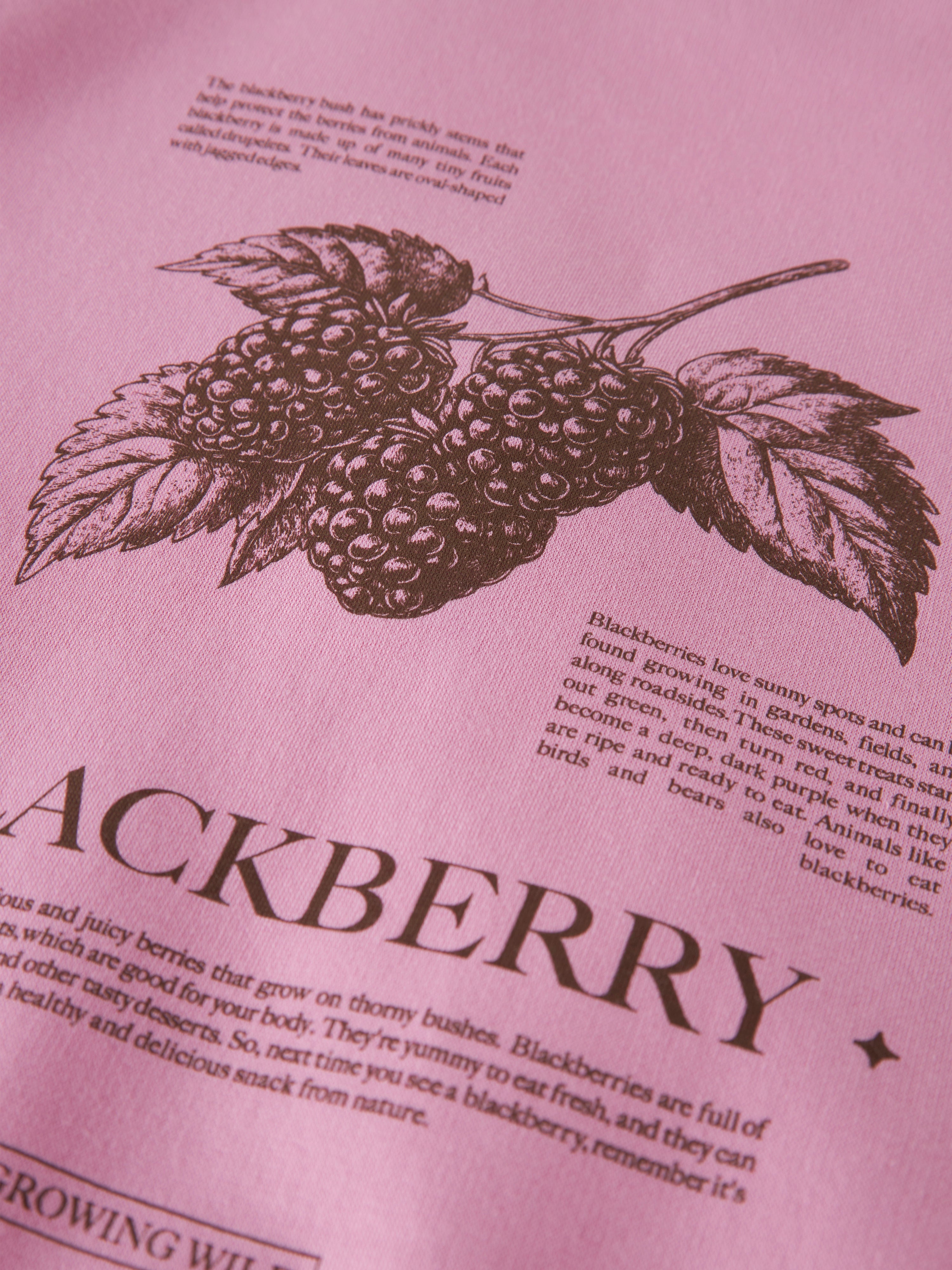 Sudadera Rosa Blackberry Kid