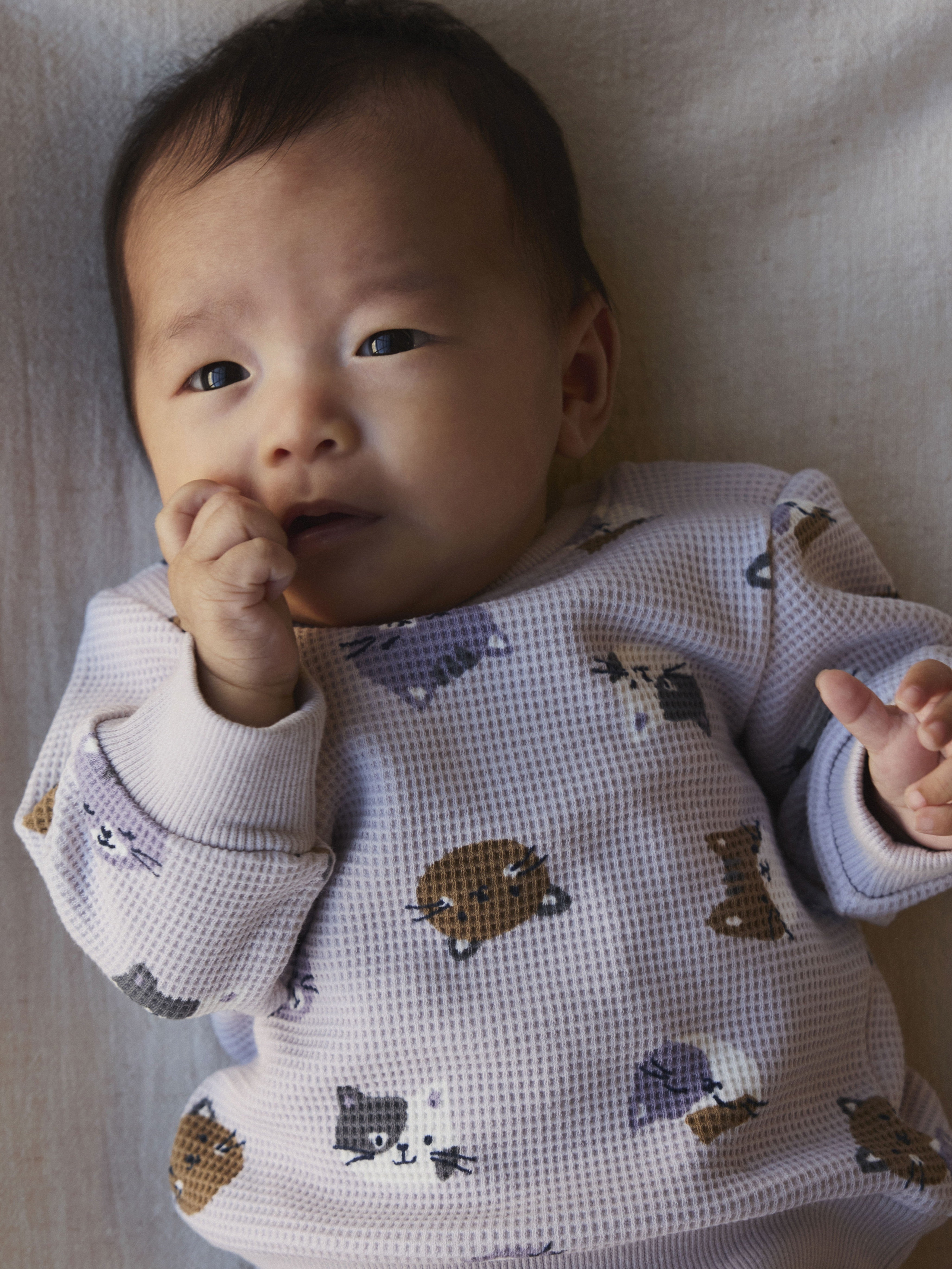 Sudadera Gatitos Lila Bebé